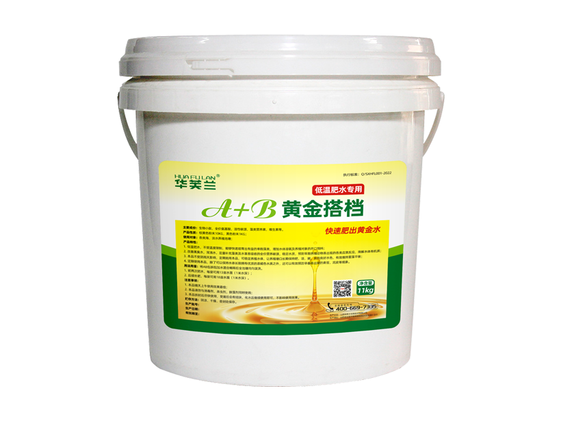 1750237713698620.png A+B黄金搭档.png