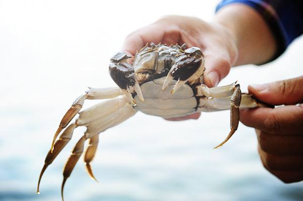 1758248541127821.jpg 1758248541127821.jpg